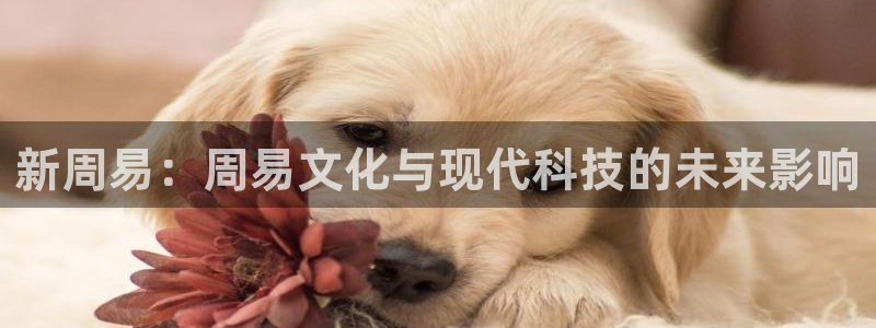 九七影院：新周易：周易文化与现代科技的未来影响