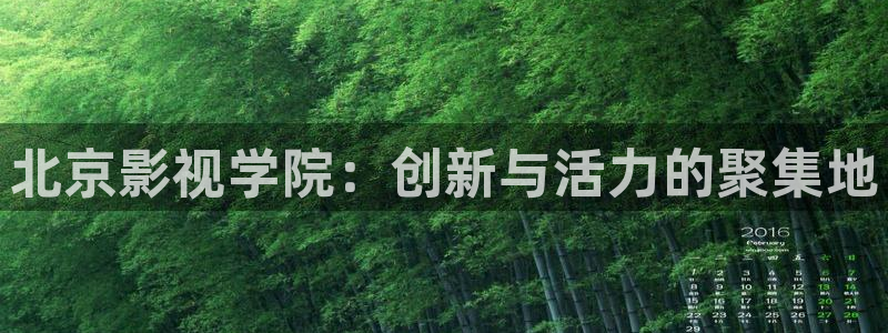 九七高清电影：北京影视学院：创新与活力的聚集地
