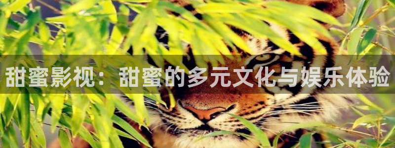 97电院网九七电影院：甜蜜影视：甜蜜的多元文化与娱乐体验